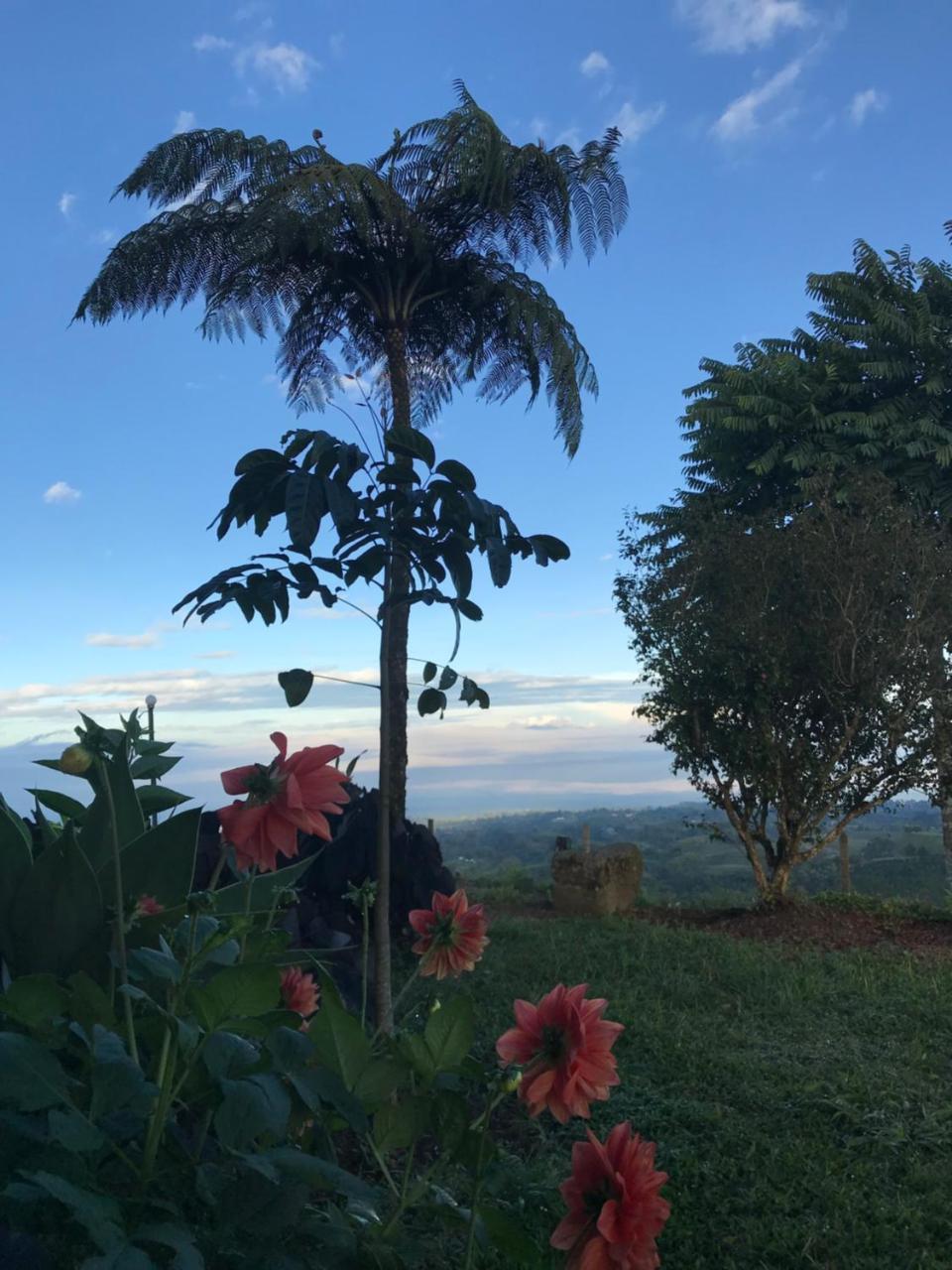 Hébergement de vacances Santa Elena De La Colina *